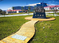 石嘴山天华矿业集团