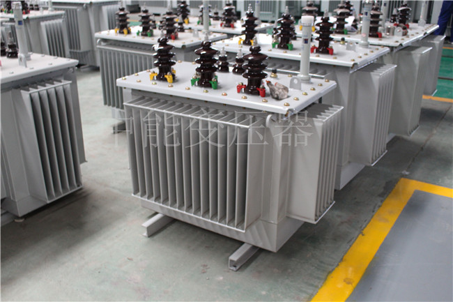 石嘴山S22-250KVA/10KV变压器